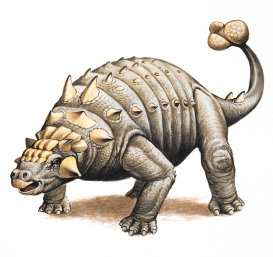 Ankylosaure par Emmanuel Mercier - Archives Larousse