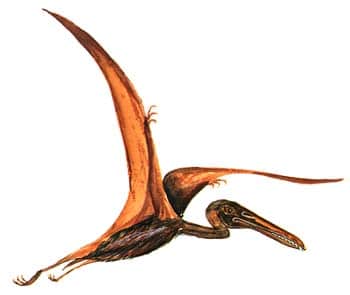 Ptérodactyle - www.jurassic-world.com